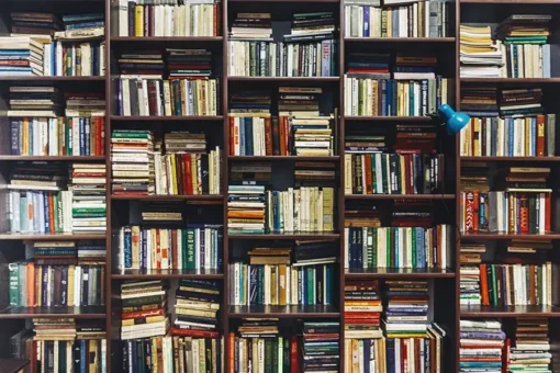 Library bookshelves.